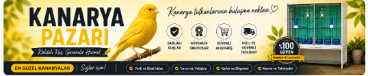 Büyük Türkiye'nin <br /> PetShop İlan Pazarı